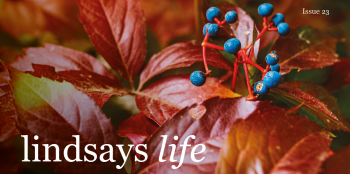 Lindsays Life 23 - our latest magazine is out now