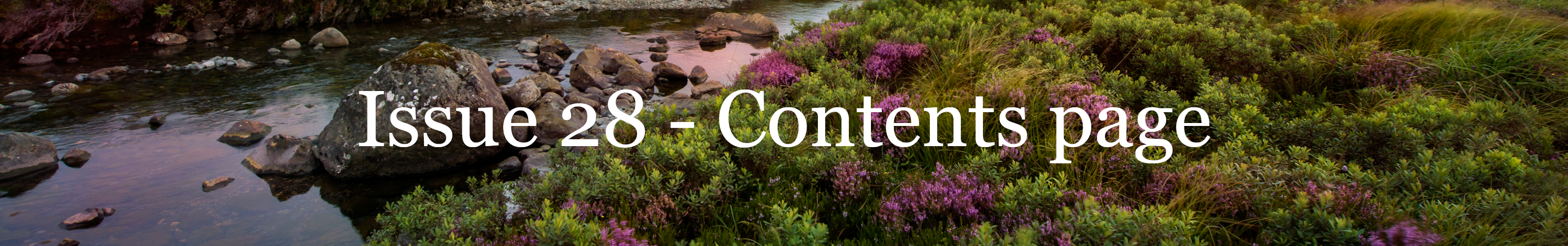 LL28-Content-Page-Banner.png#asset:24665 LL28-Content-Page-Banner.png#asset:24665