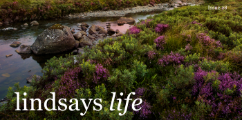 Lindsays Life 28