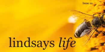Lindsays Life 22 - our latest magazine is out now