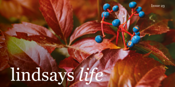 Lindsays life - Issue 23